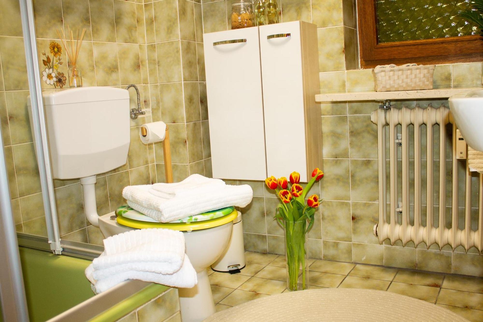Ferienwohnung In Schoenwald Schwarzwald Esterno foto
